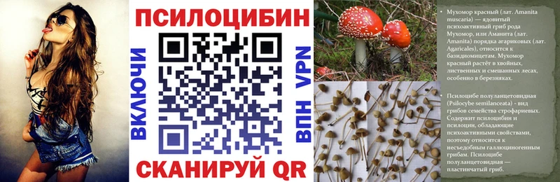 Псилоцибиновые грибы Cubensis купить сайты Дрезна