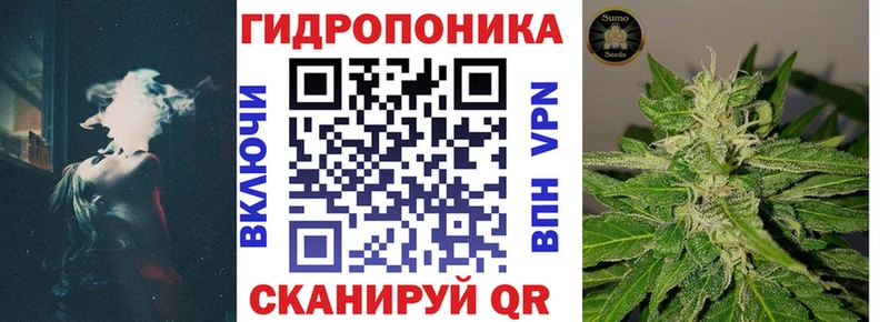 Бошки марихуана White Widow  hydra зеркало  Дрезна 